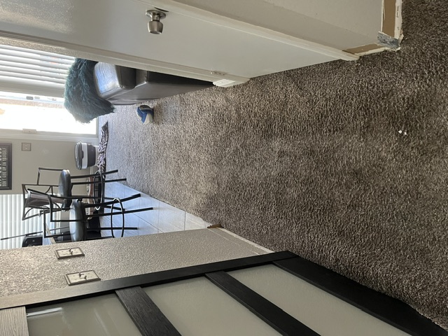 Hallway with worn brown carpet before flooring replacement